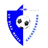 https://img.renatoleduc.com/img/football/team/1cde488d47b598d2eed91775e6786258.png